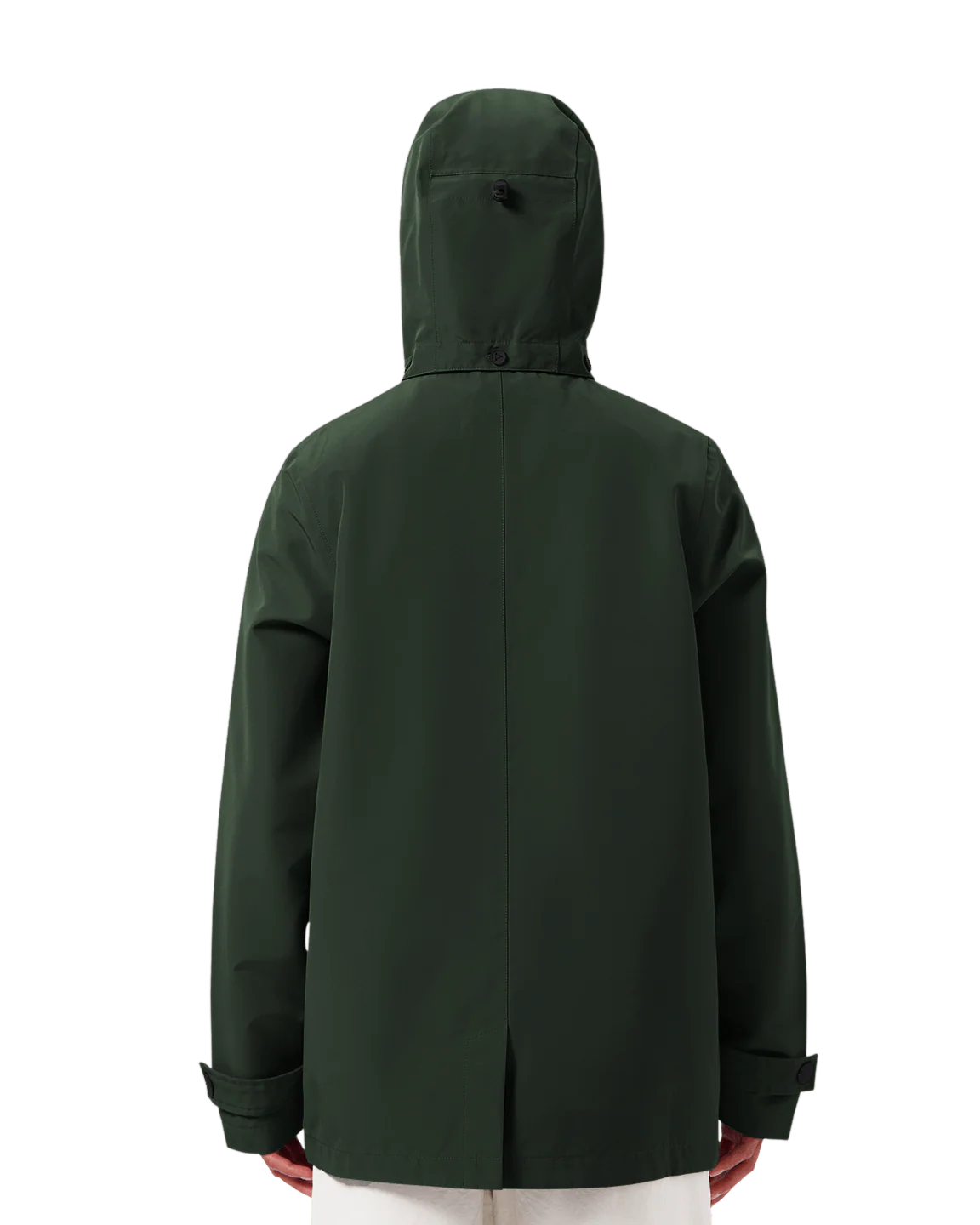 Miniatuur 34
